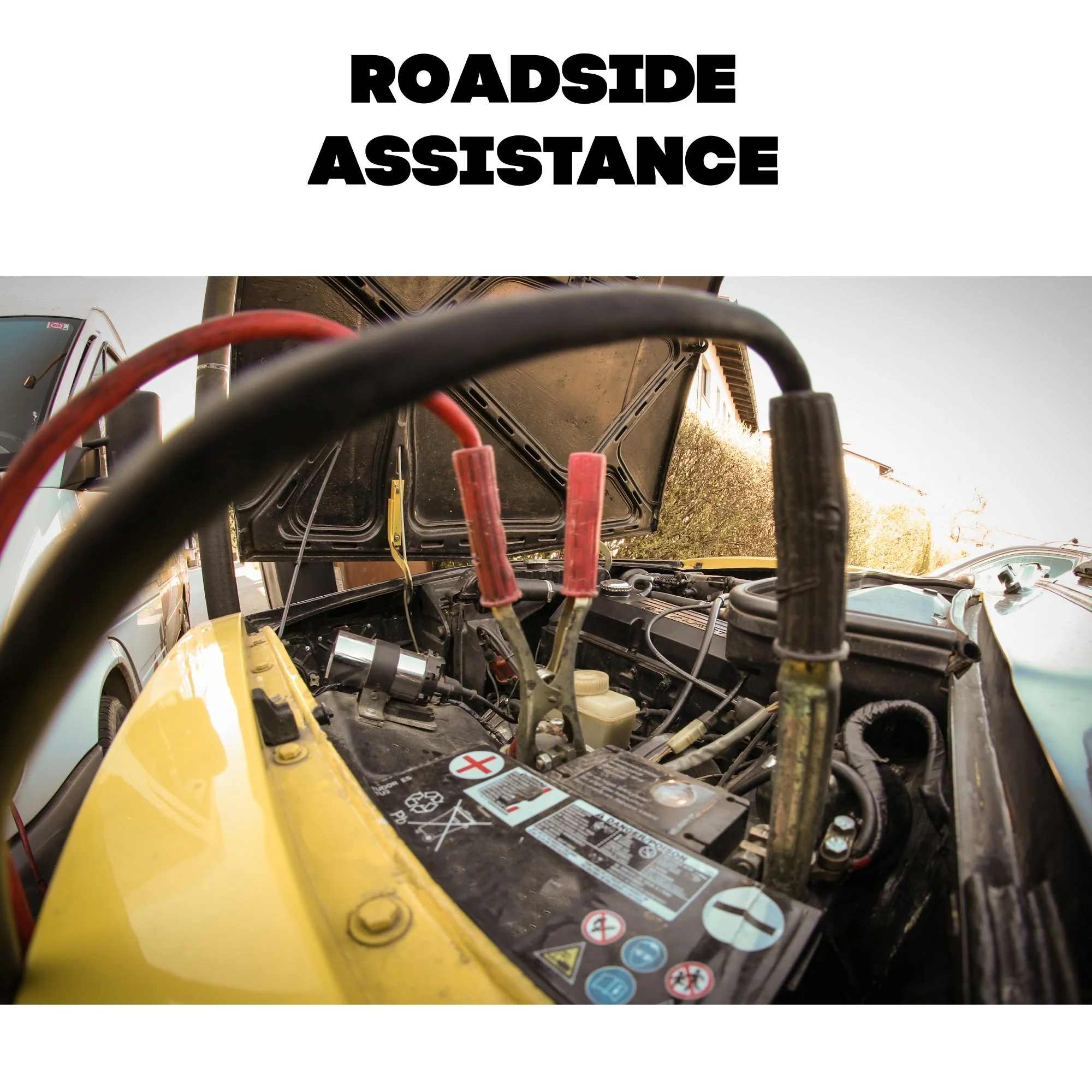 Etsy Item Listing Photo (5).jpg