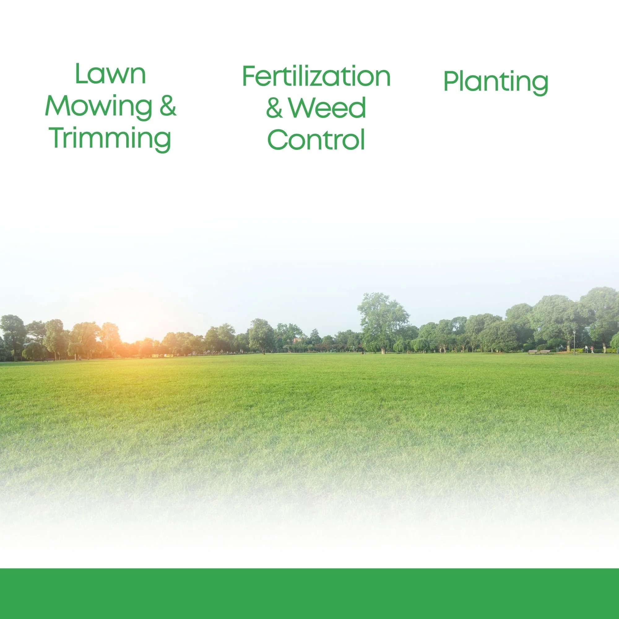 LAWN CARE.jpg