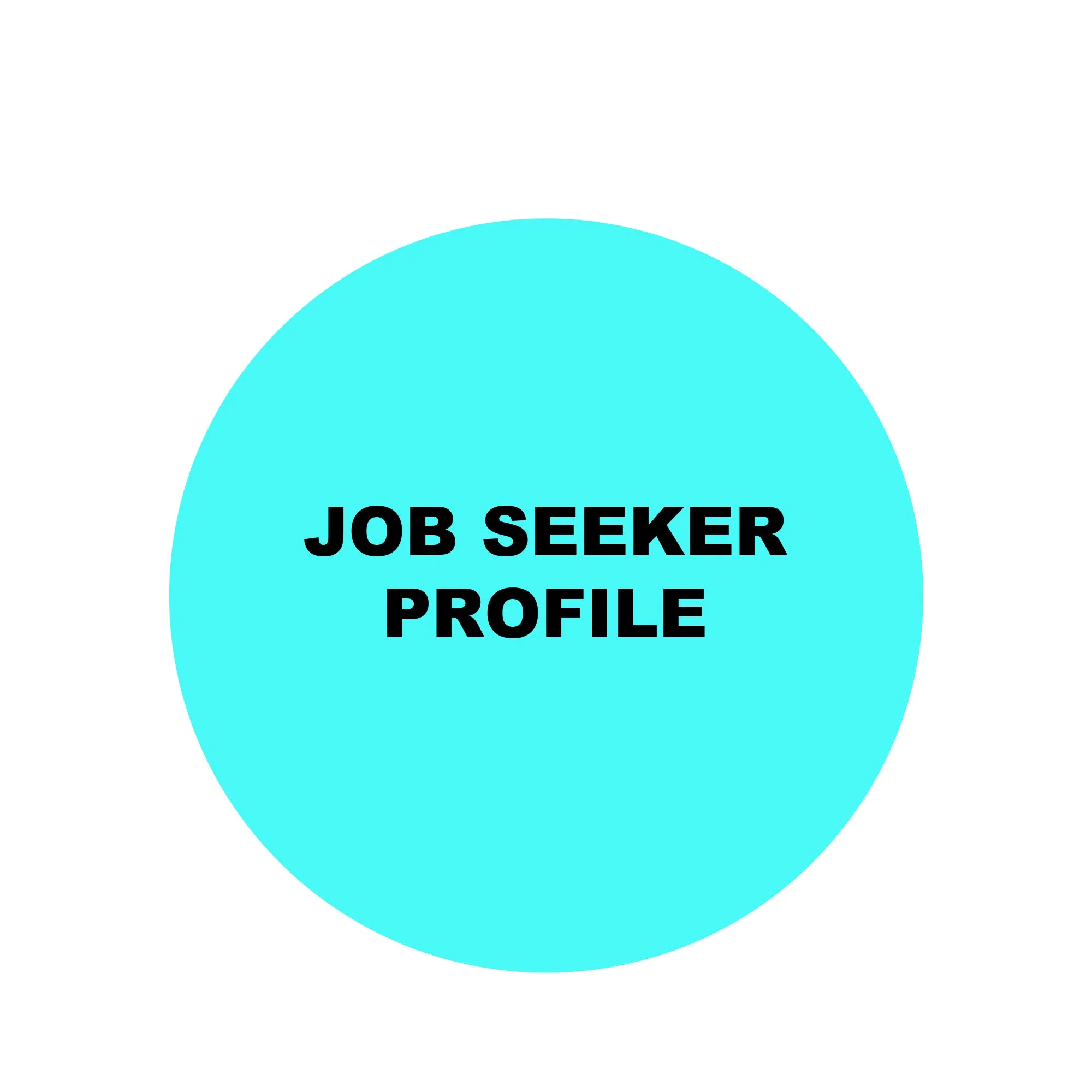JOB SEEKER PROFILE.jpg