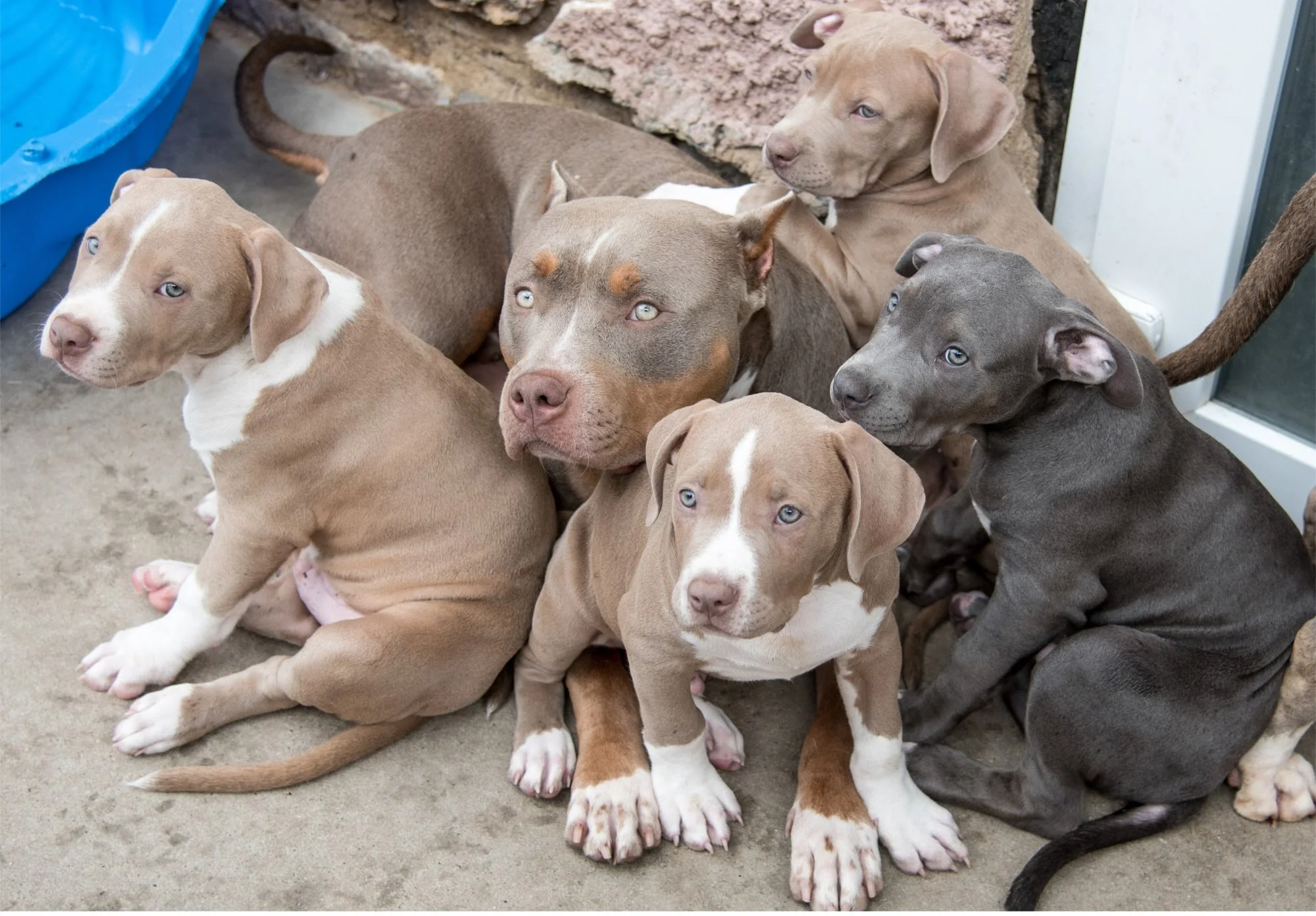 Etsy Item Listing Photo (9).jpg