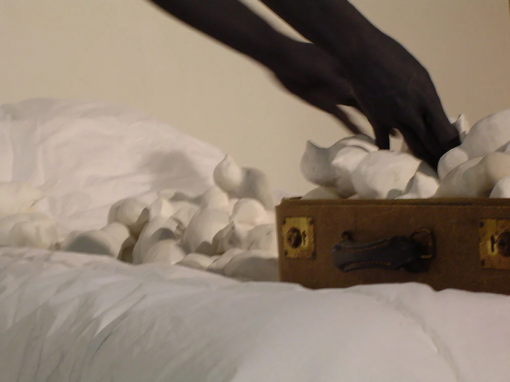 #5 quelea performance still .JPG