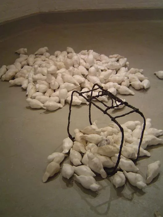 #6 Queleas and suitcase (1).JPG