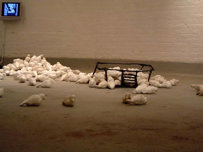 #3 Queleas installation and performance video.JPG