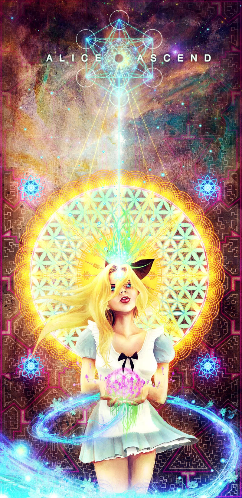 Alice-01.jpg