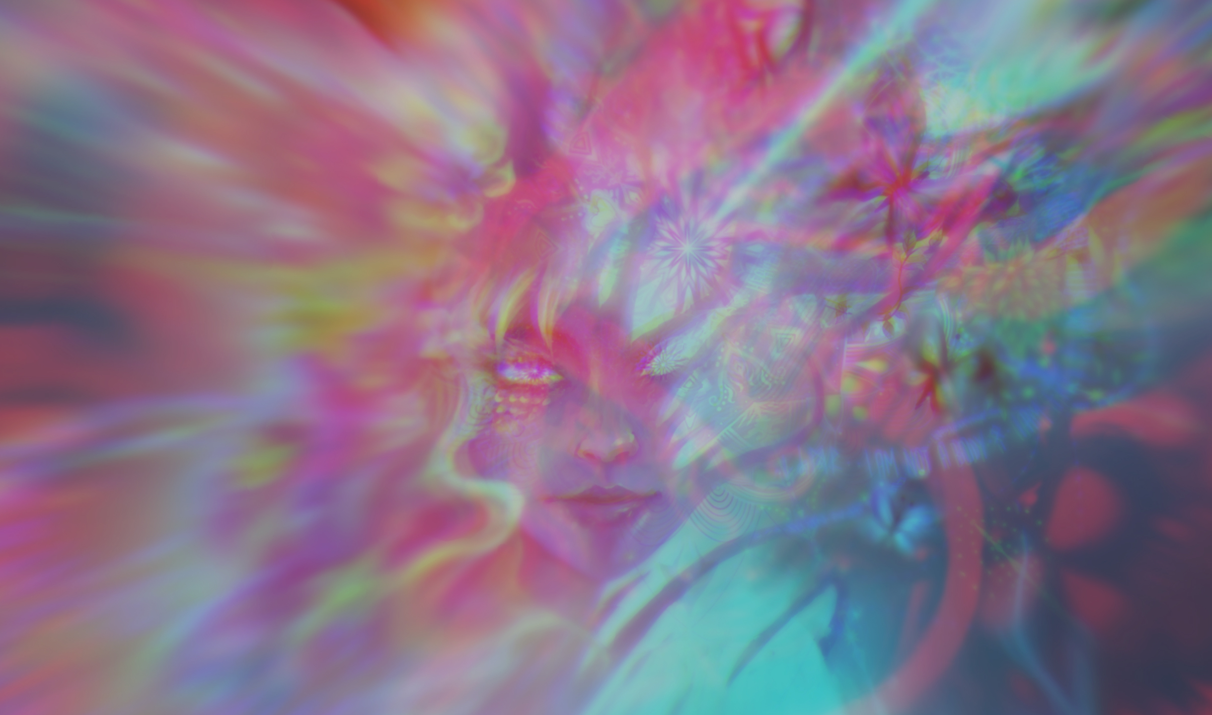2440_Banner_NoText.jpg