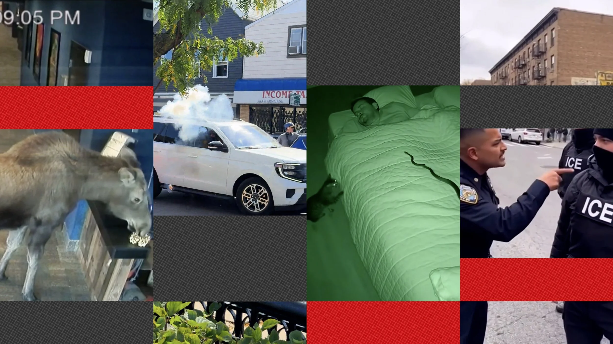    AI video slop is everywhere, take our quiz to try and spot it   