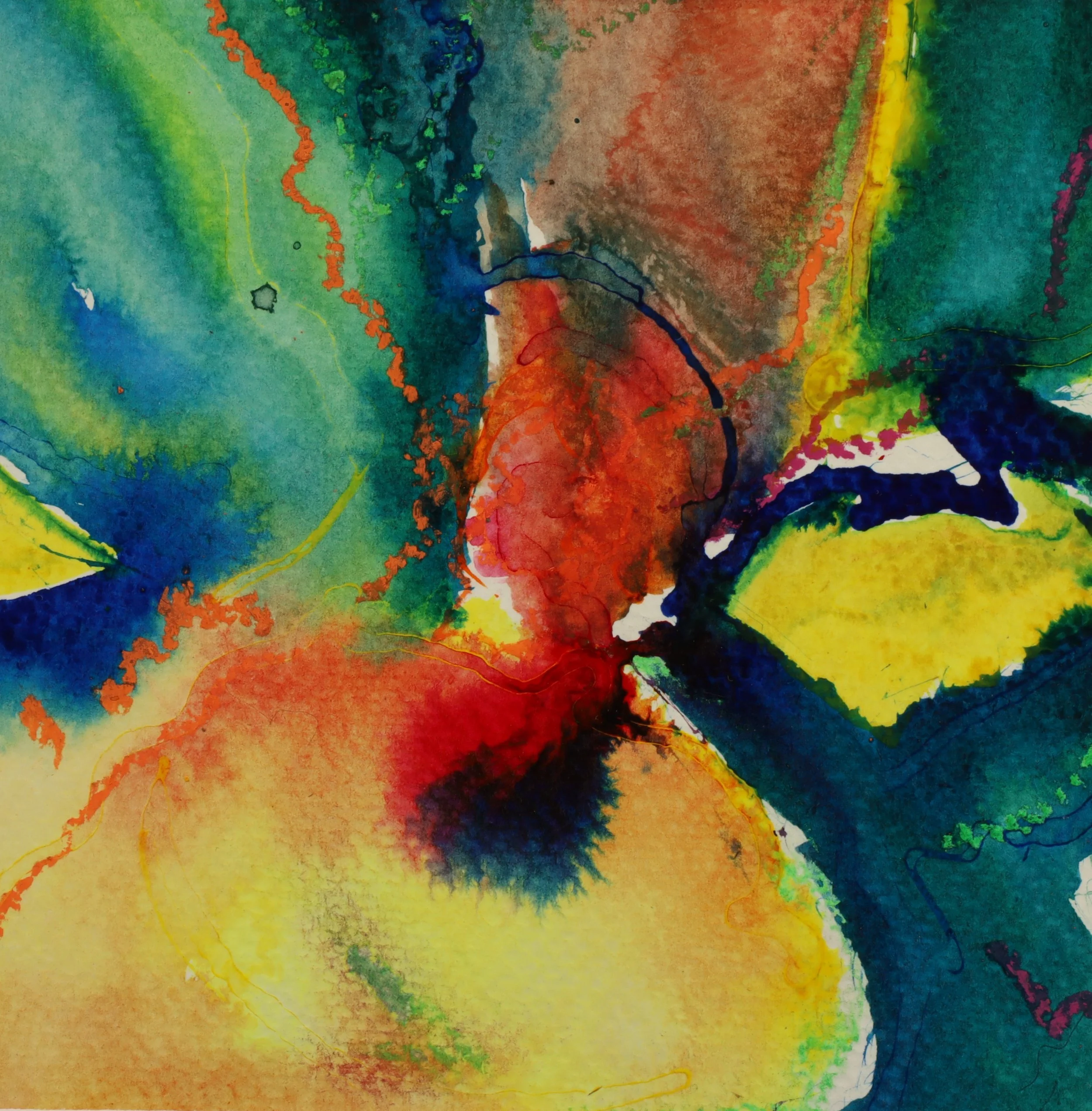 Les fleurs du jardin