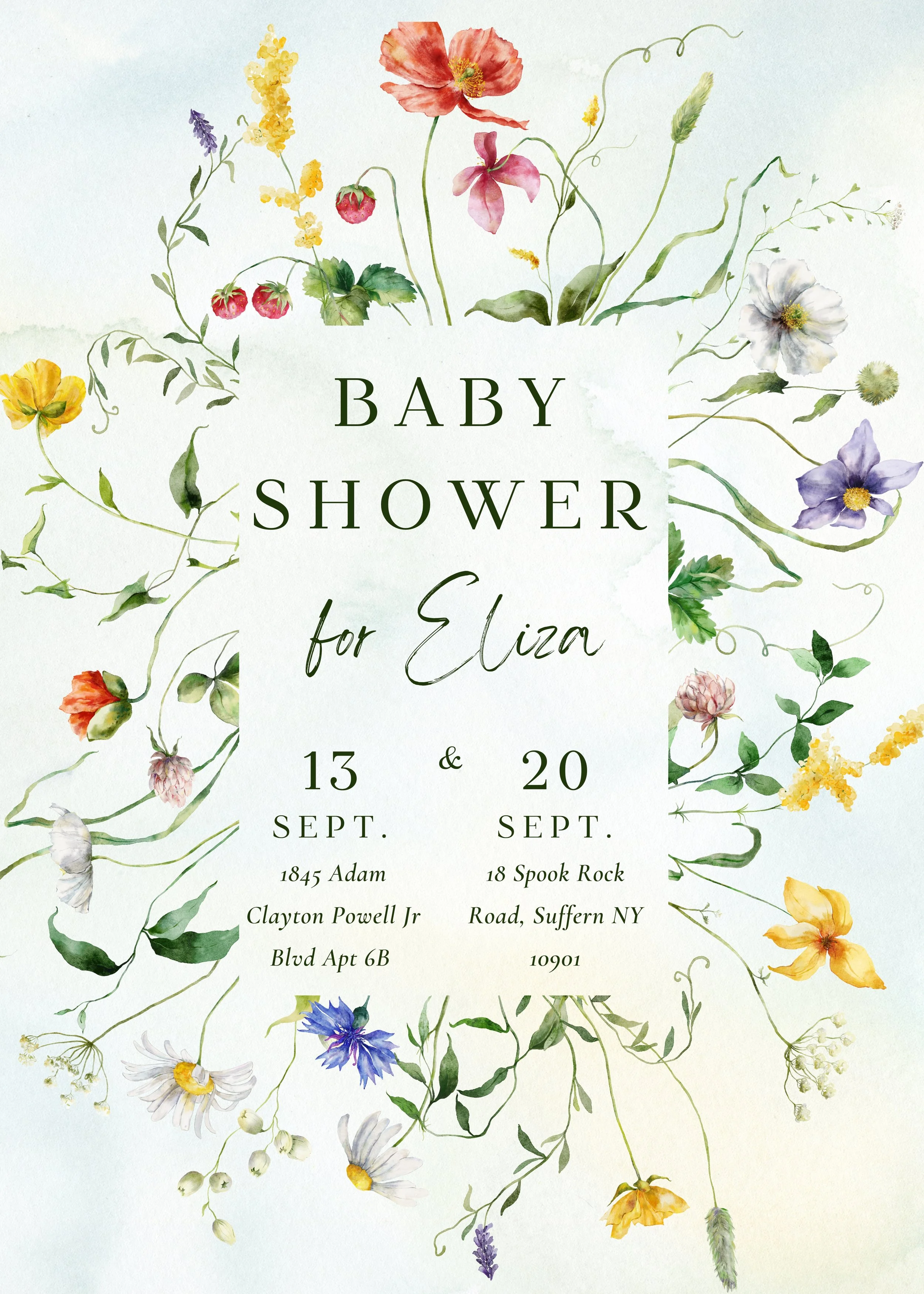 baby shower poster.jpg