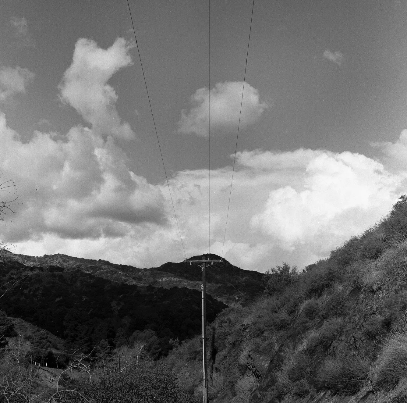 IMG_6907.jpeg