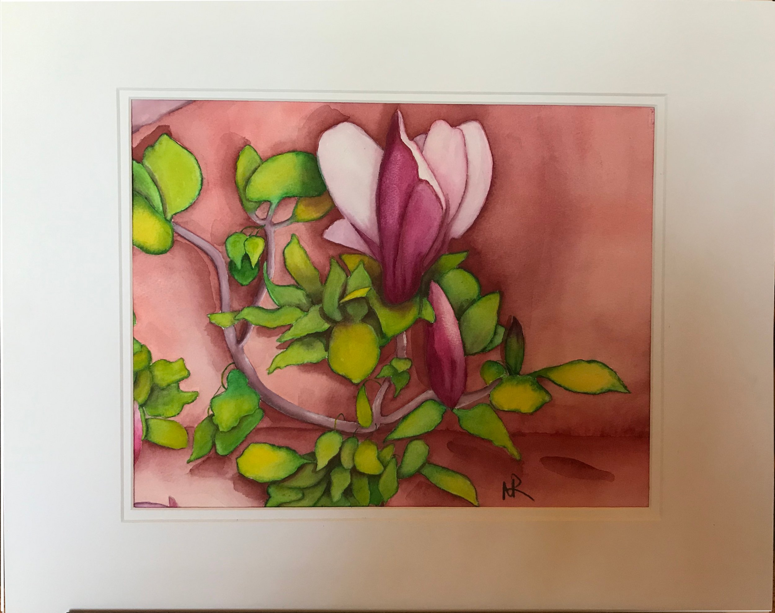 Tulip Magnolia_Matted.jpg