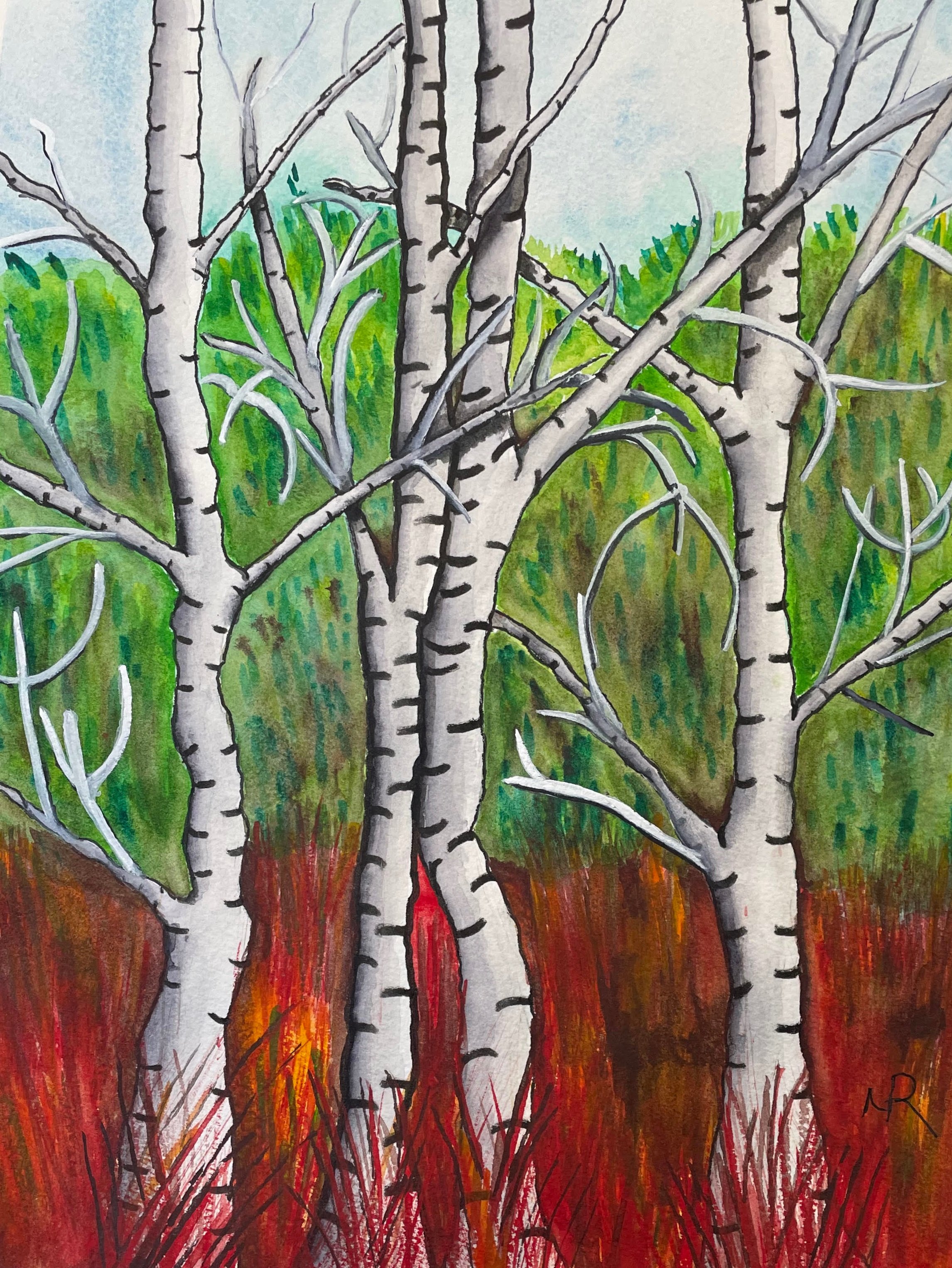 Great Basin Birch Trees_06202024_Final.jpg