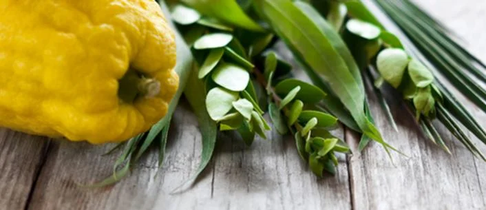 sukkot long.jpg