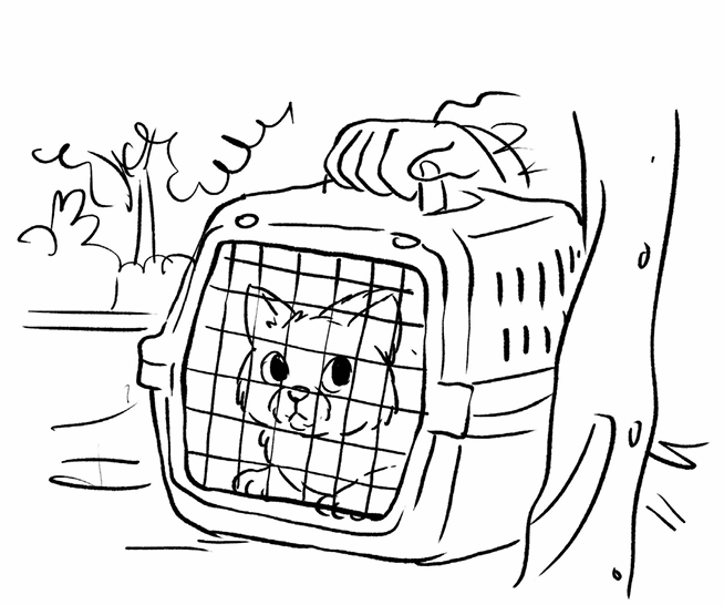 Gray Kitty in a cat-carrier, not looking too happy.