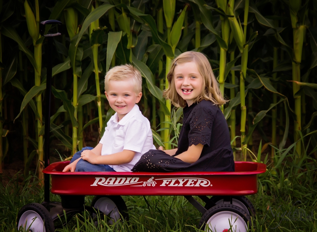 St. Joseph Michigan Newborn, Child and family Photographer_0254.jpg