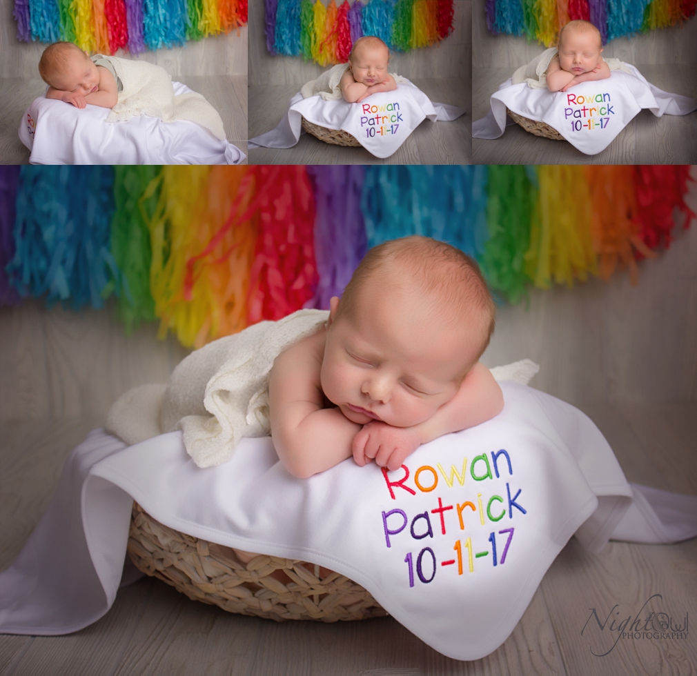 St. Joseph Michigan Newborn, Child and family Photographer_0335.jpg