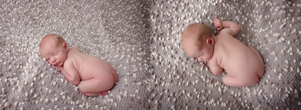 St. Joseph Michigan Newborn, Child and family Photographer_0337.jpg