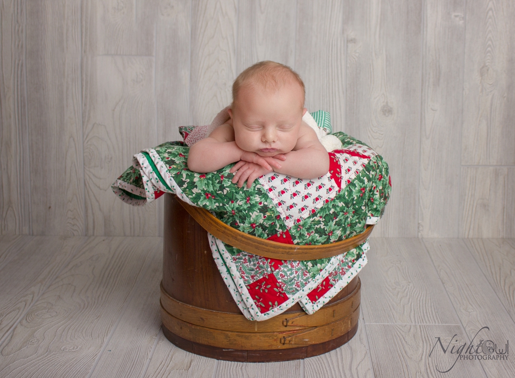 St. Joseph Michigan Newborn, Child and family Photographer_0336.jpg