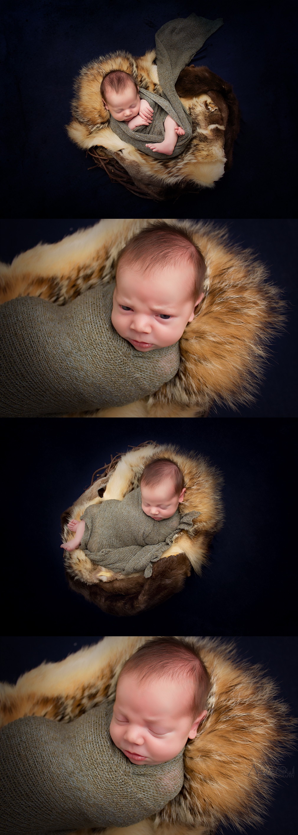 St. Joseph Michigan Newborn, Child and family Photographer_0361.jpg