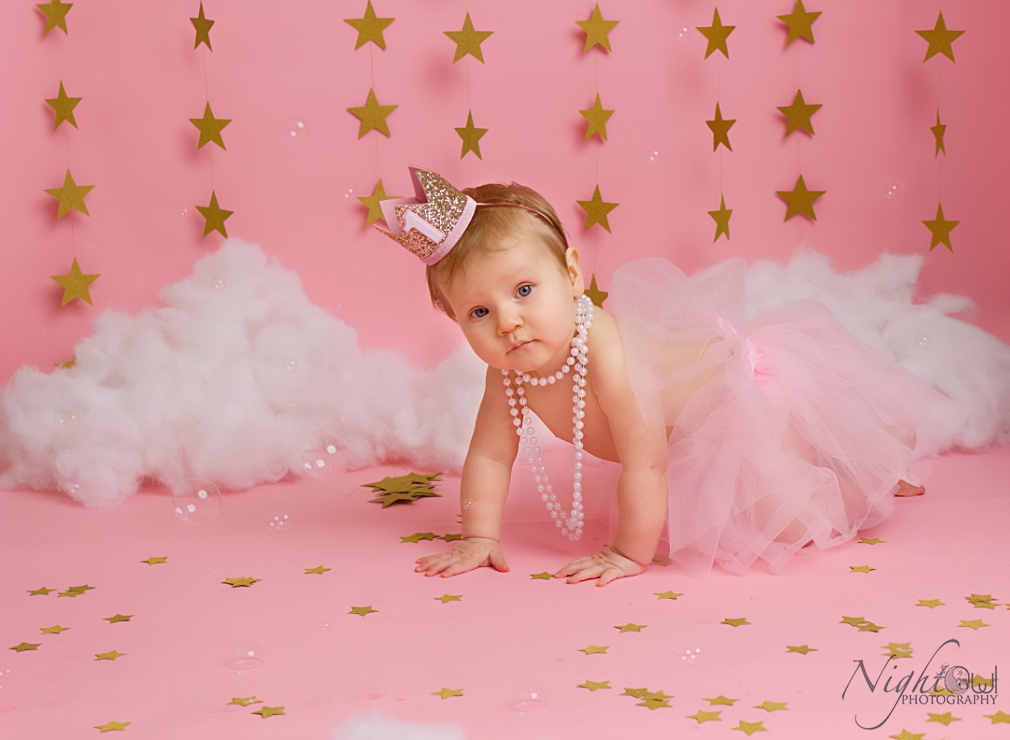 St. Joseph Michigan Newborn, Child and family Photographer_0382.jpg