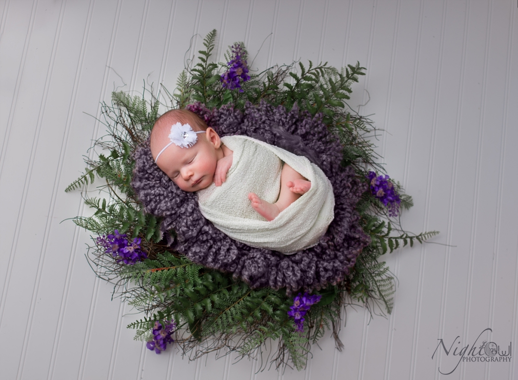 St. Joseph Michigan Newborn, Child and family Photographer_0390.jpg