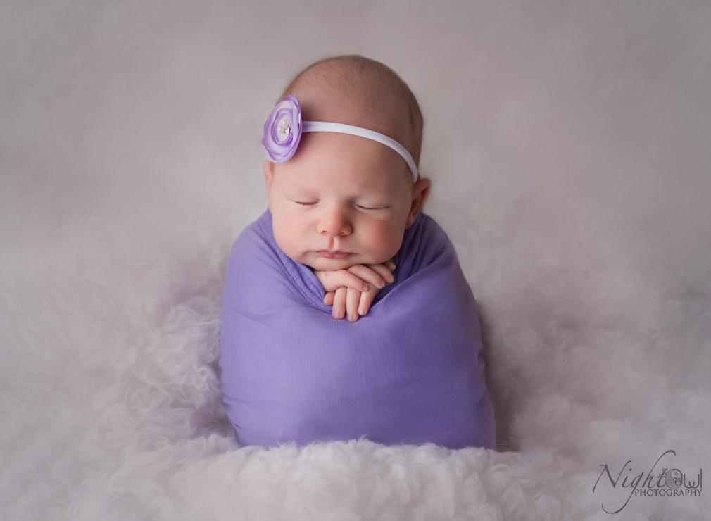 St. Joseph Michigan Newborn, Child and family Photographer_0393.jpg