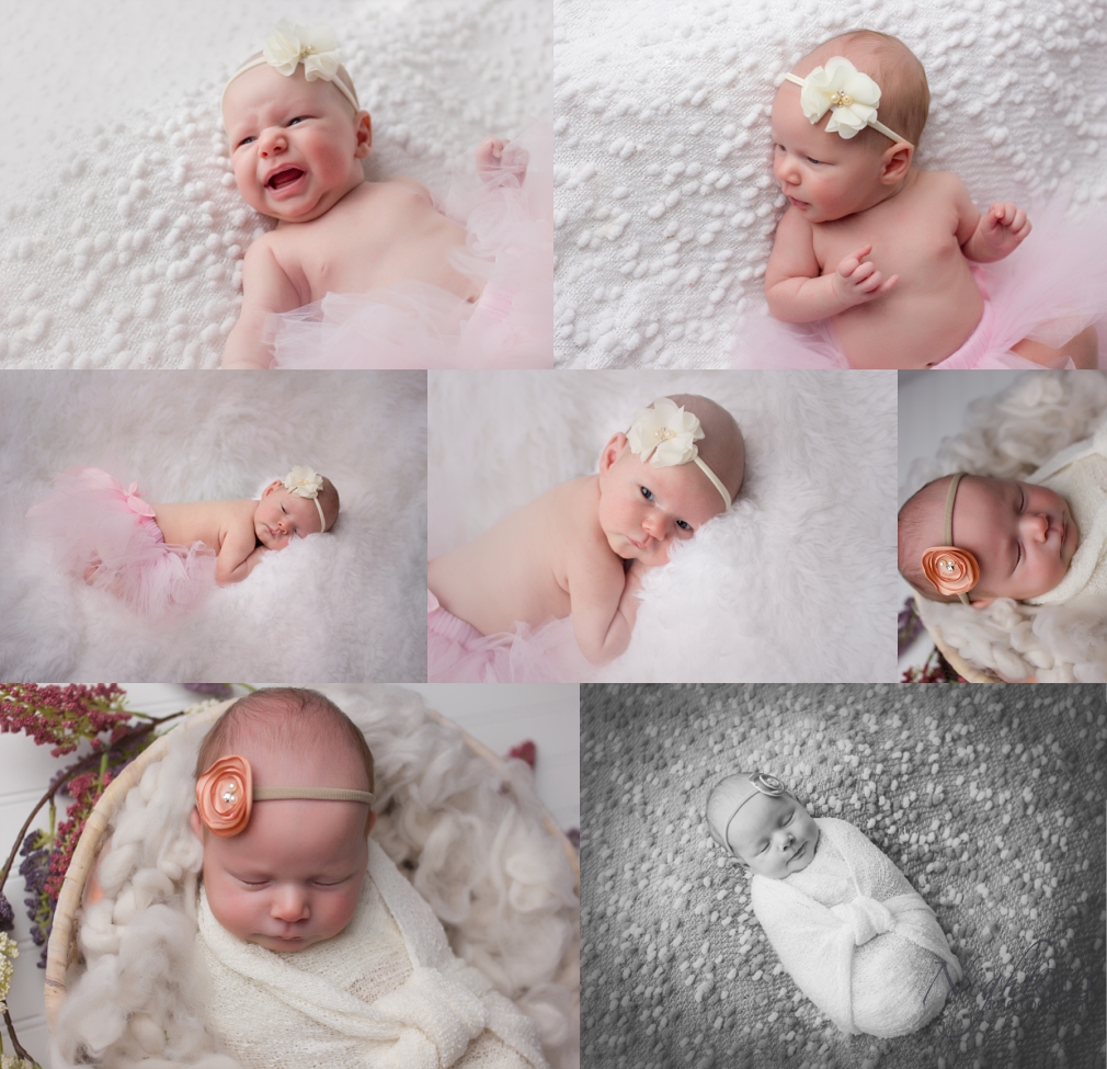 St. Joseph Michigan Newborn, Child and family Photographer_0395.jpg