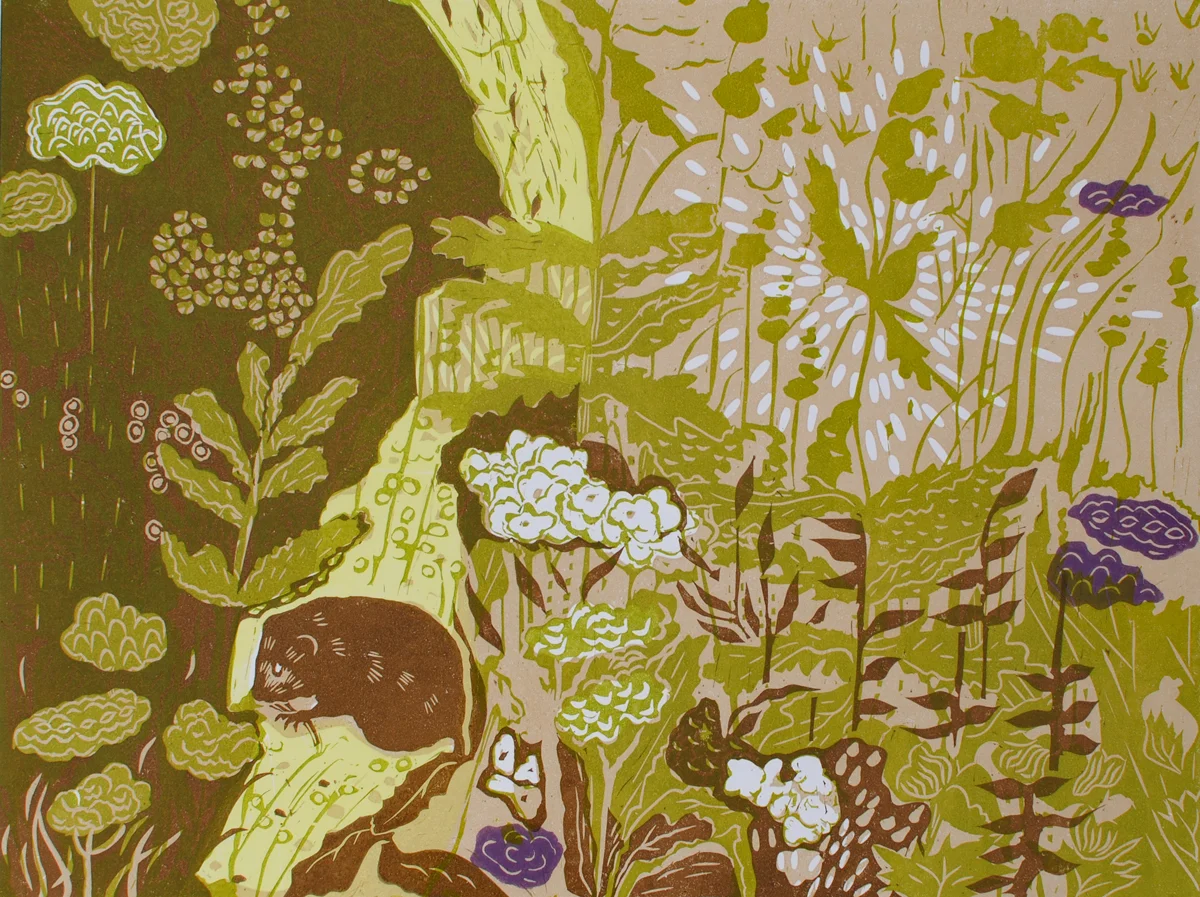 wild meadow.jpg