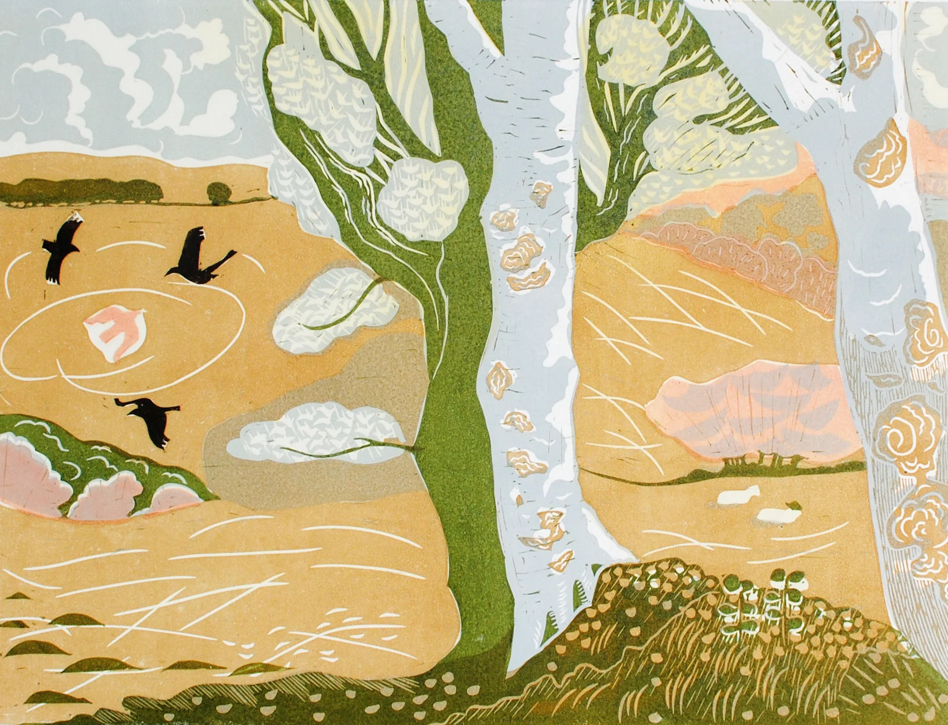 the silver birch tree.jpg