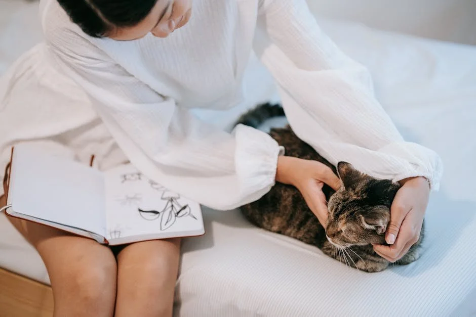 10 Tips for Stress-Free Cat Sitting