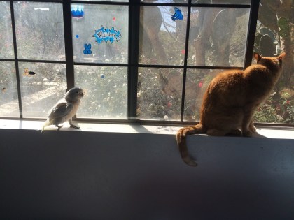 Sun, social under supervision… Oh, What a beautiful morning!