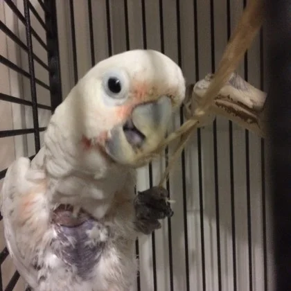 Enrichment!!! Love it! – April 7, 2015