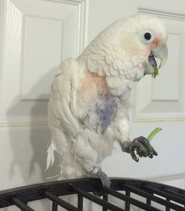Freedom and fresh veggies. Life is good!!! – May 28, 2015