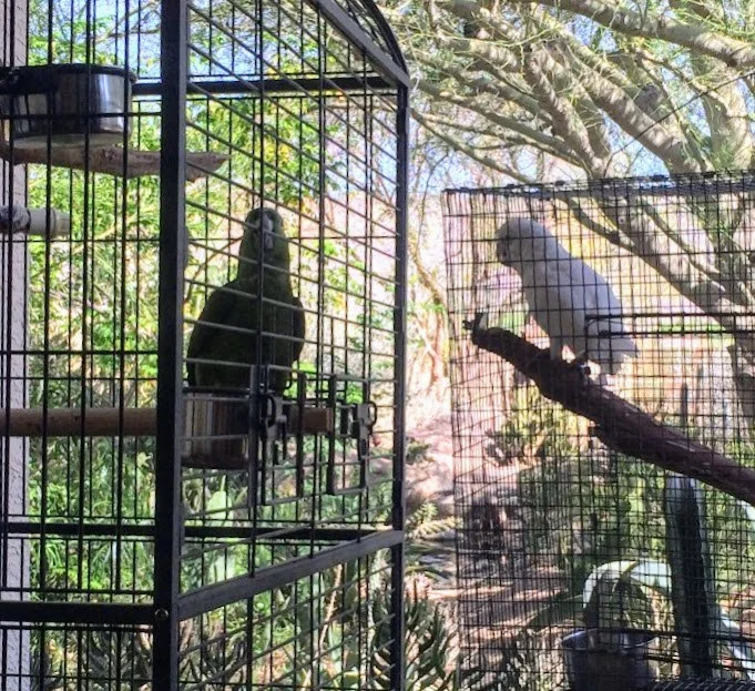 A cool morning! Hanging with Le’a 7/17/2015