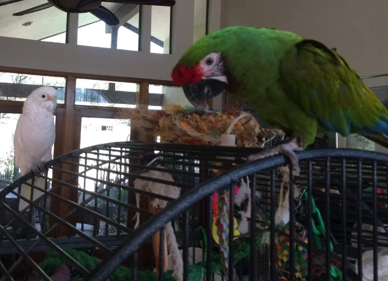 Hanging with my friend Mack – November 6, 2015