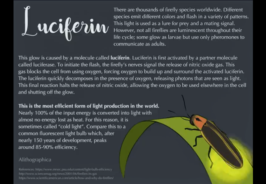  https://www.facebook.com/JennDeutscherArt/videos/1739105932823801/ Alithographica Art · June 15, 2018 · The specific color produced by this reaction depends on the structure of the luciferase, which can vary slightly from species to species. Support Science Fact Friday on Patreon! https://www.patreon.com/alithographica