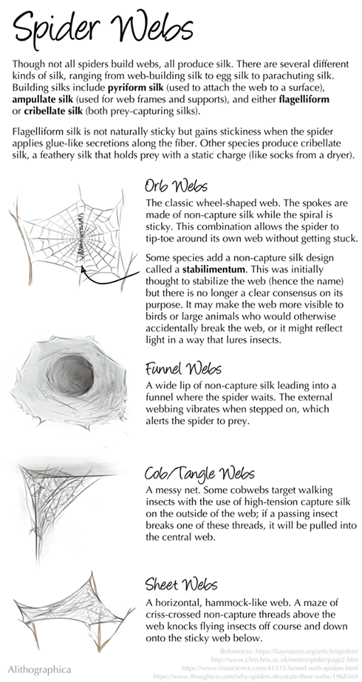 Alithographica Art · August 11, 2018 · I'm back! This is a reminder that spiders are complex and cool, even if you don’t want them near you. (You should also google stabilimentum designs. They’re pretty wild.) Support Science Fact Friday on Patreon: https://www.patreon.com/alithographica
