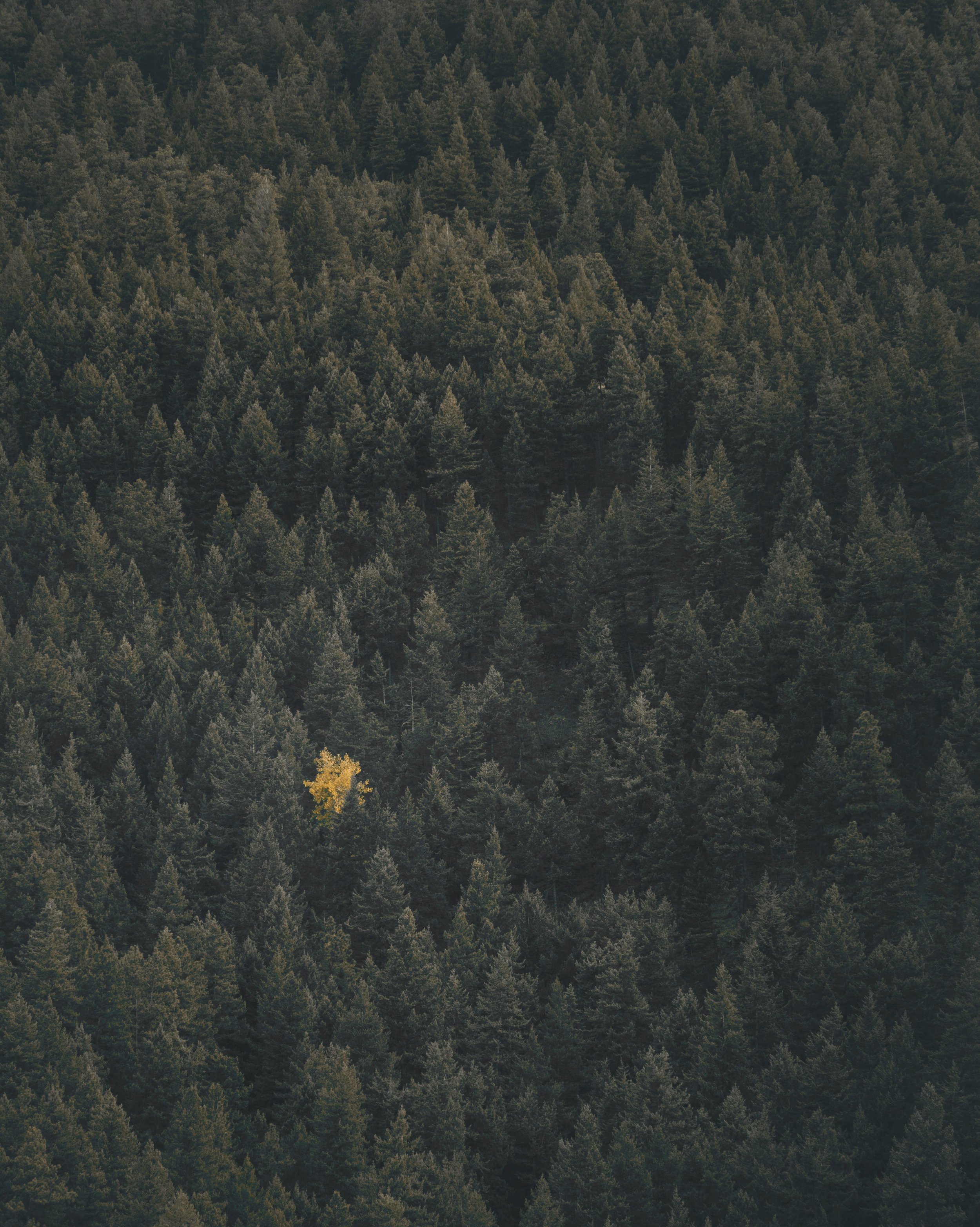 calvin-weibel-K89vw3GUoBo-unsplash.jpg