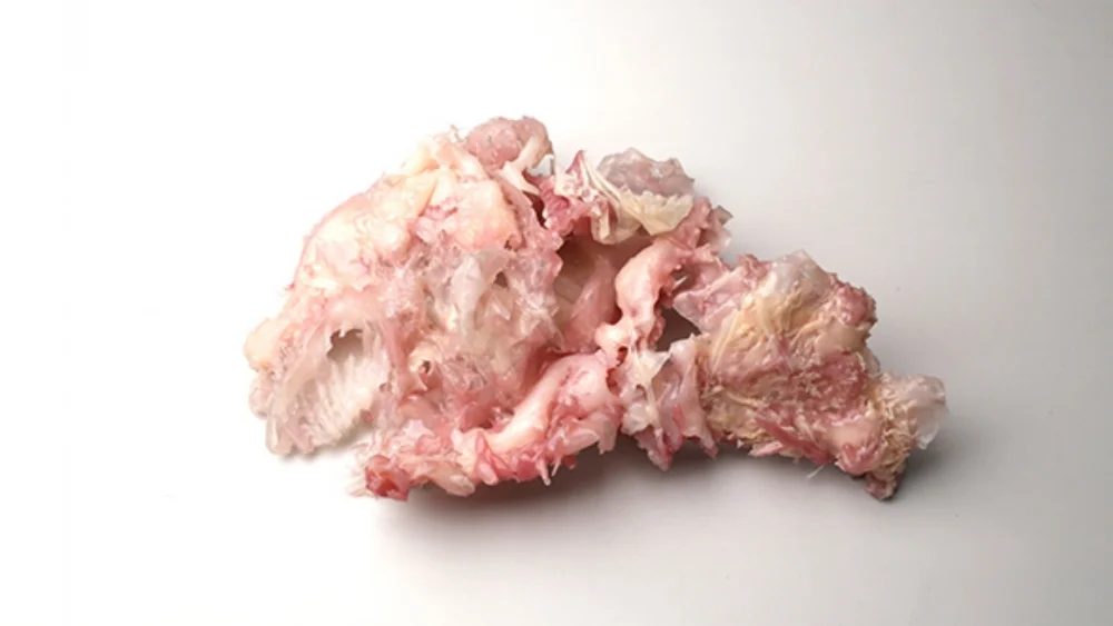  Single silicon teratoma unit 