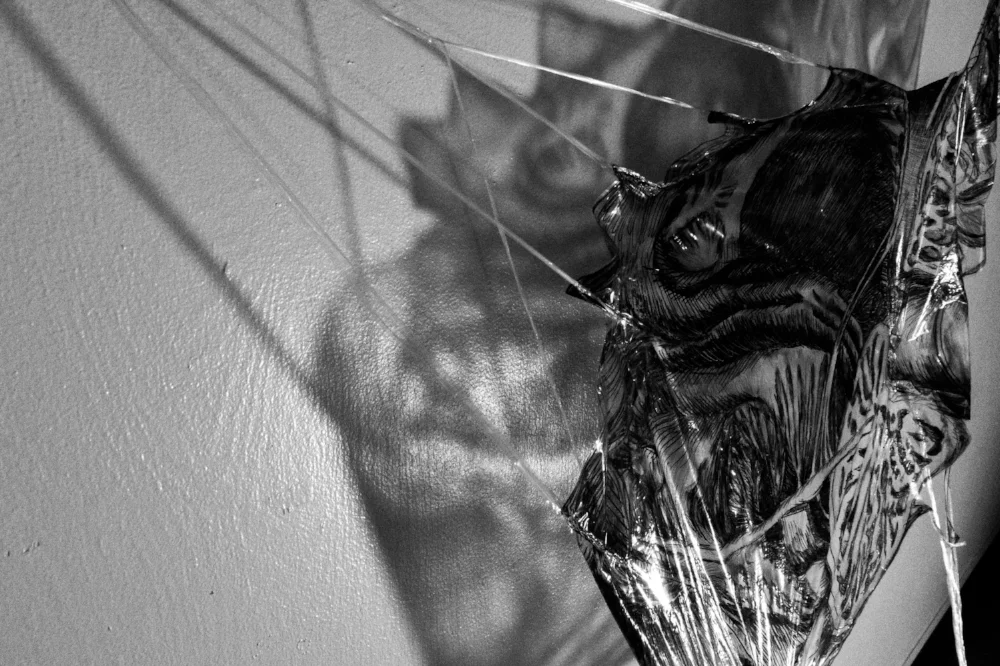   Teratoma prototype II (detail).  Mixed media on plastic and steel hooks. 2016 