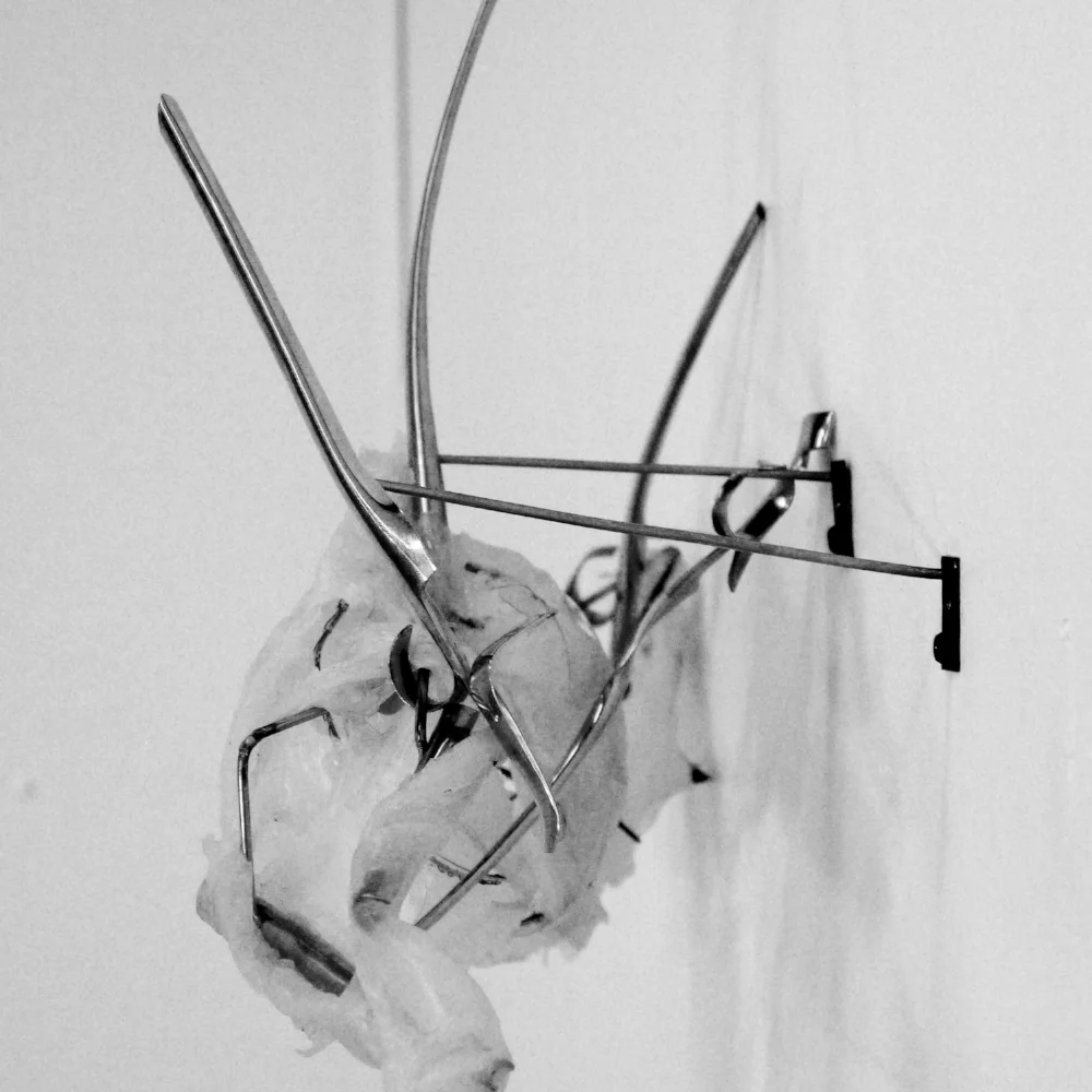   Studies for structural disembodiment II. &nbsp;Silicon and nickel. 2015 