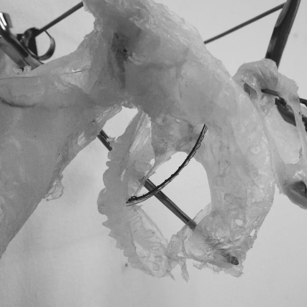   Studies for structural disembodiment II. &nbsp;Silicon and nickel. 2015 