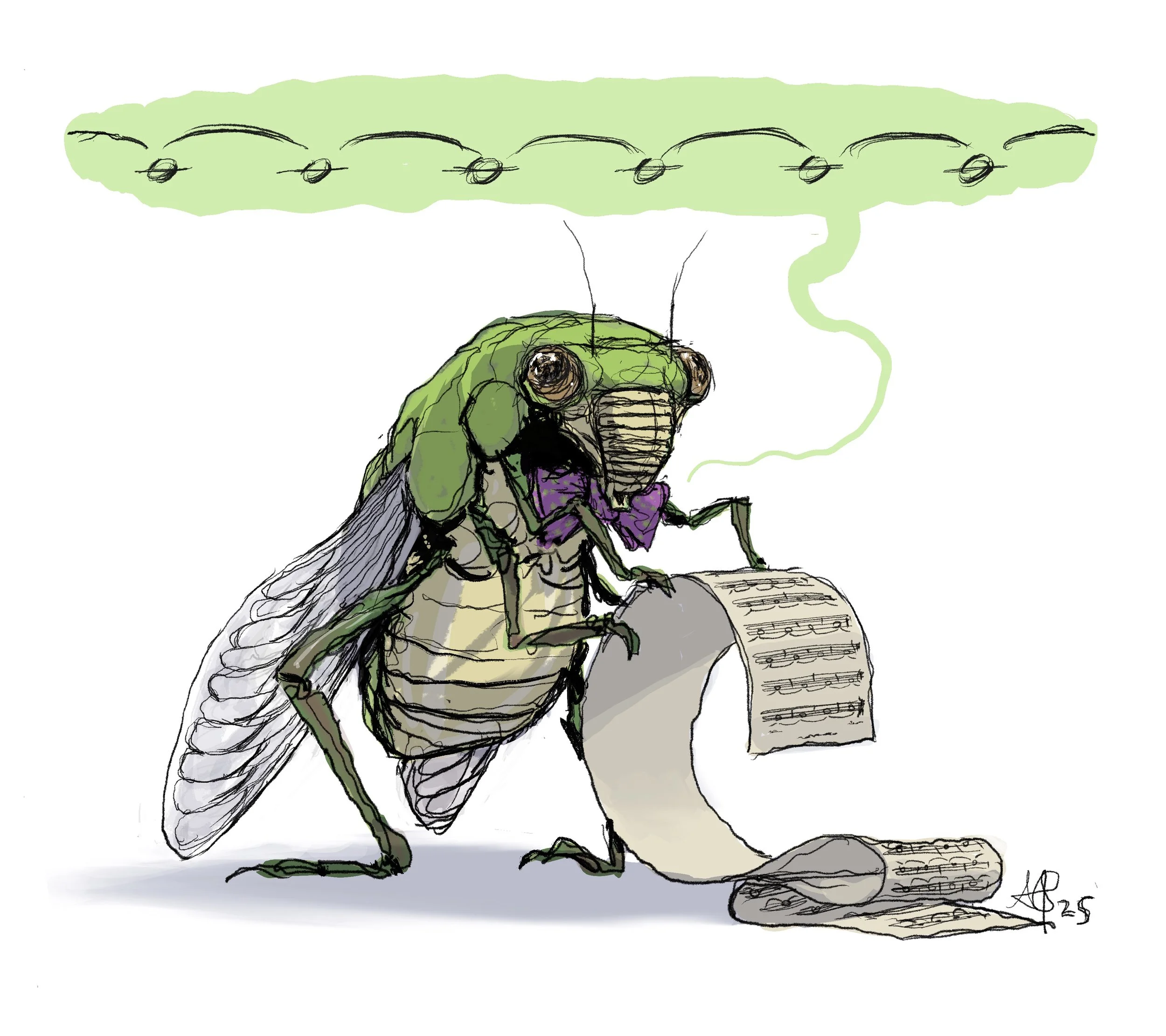 cicadence