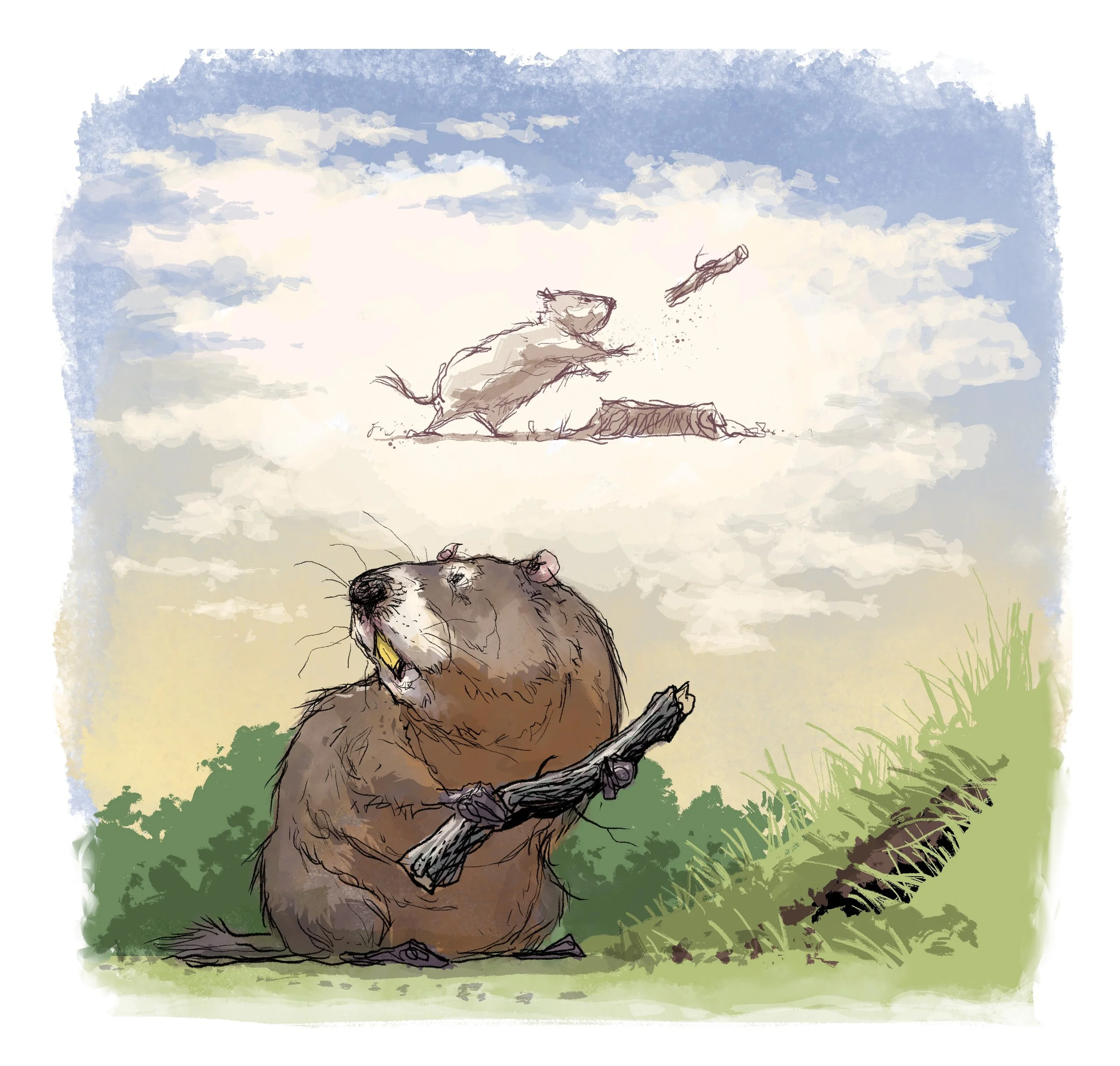 woodchuck