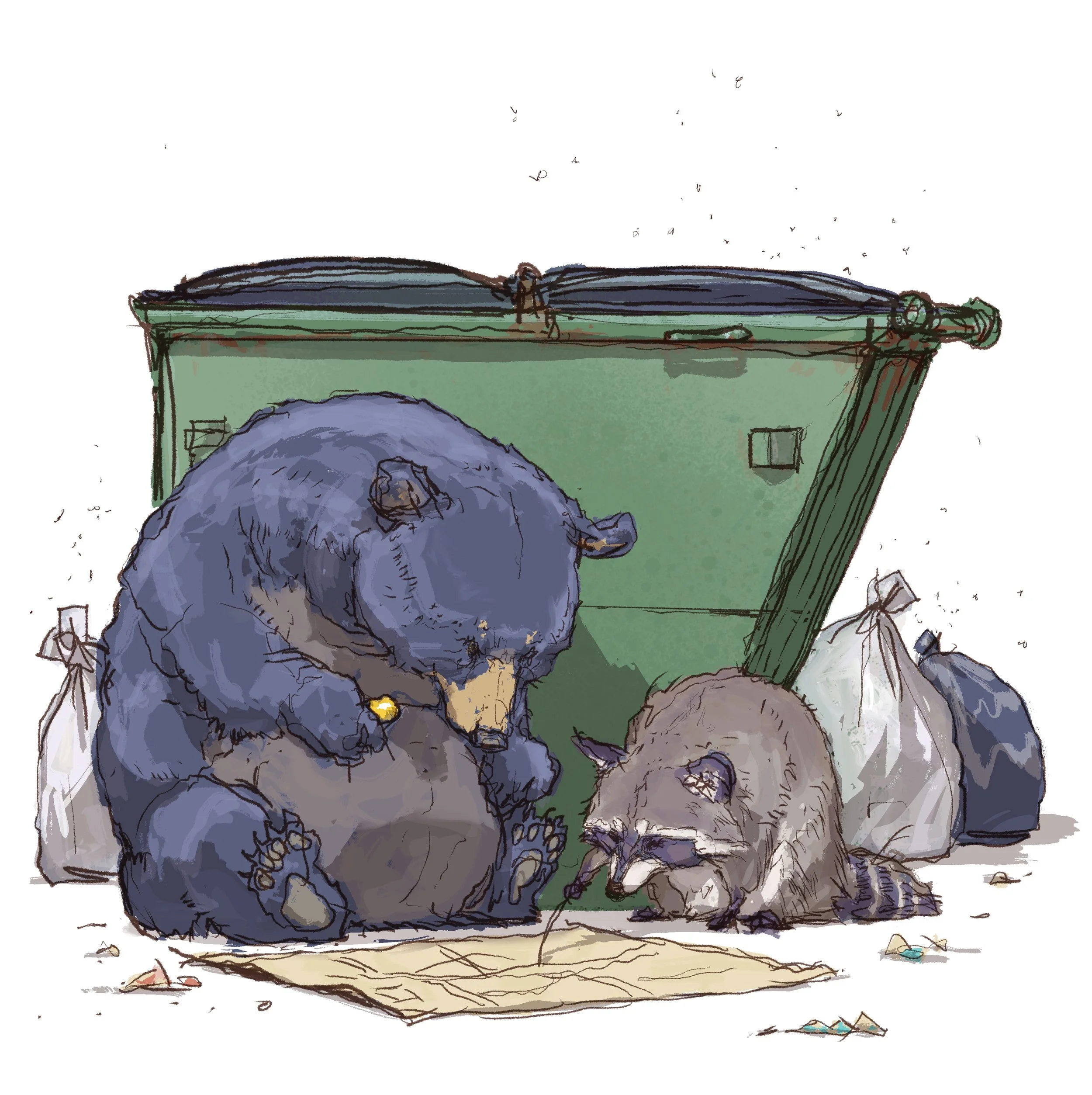 BB and raccoon unions