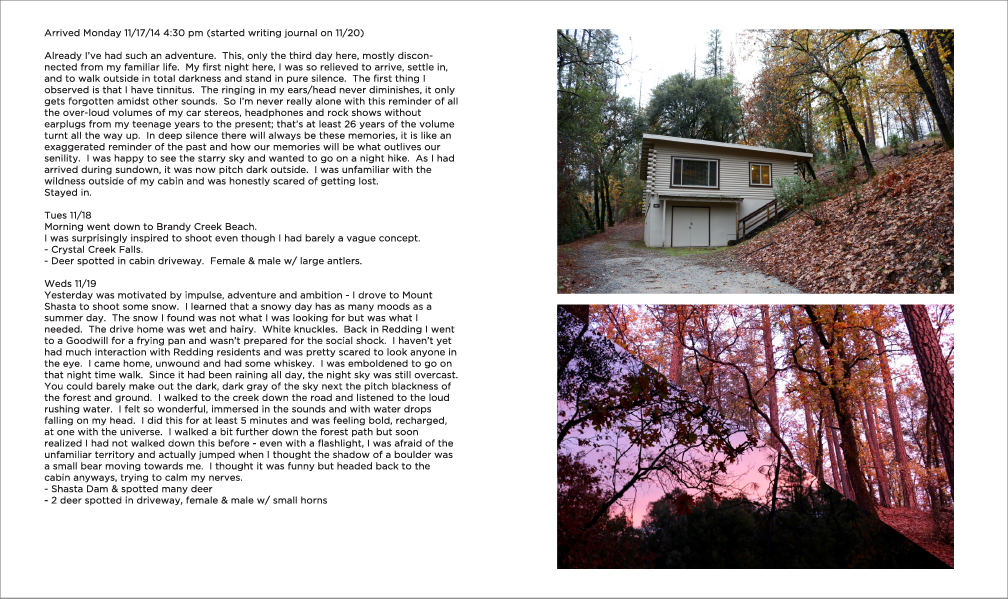 HSIUNG_whiskeytown_zine-06.png