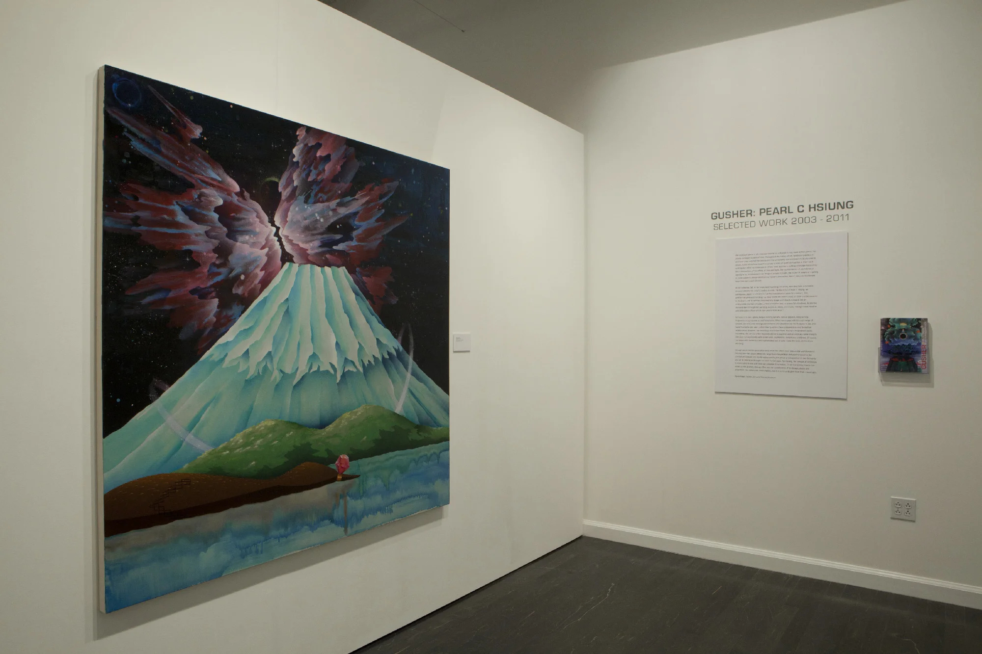 Installation images from Gusher; Pearl C. Hsiung Selected Works 2003 - 2011