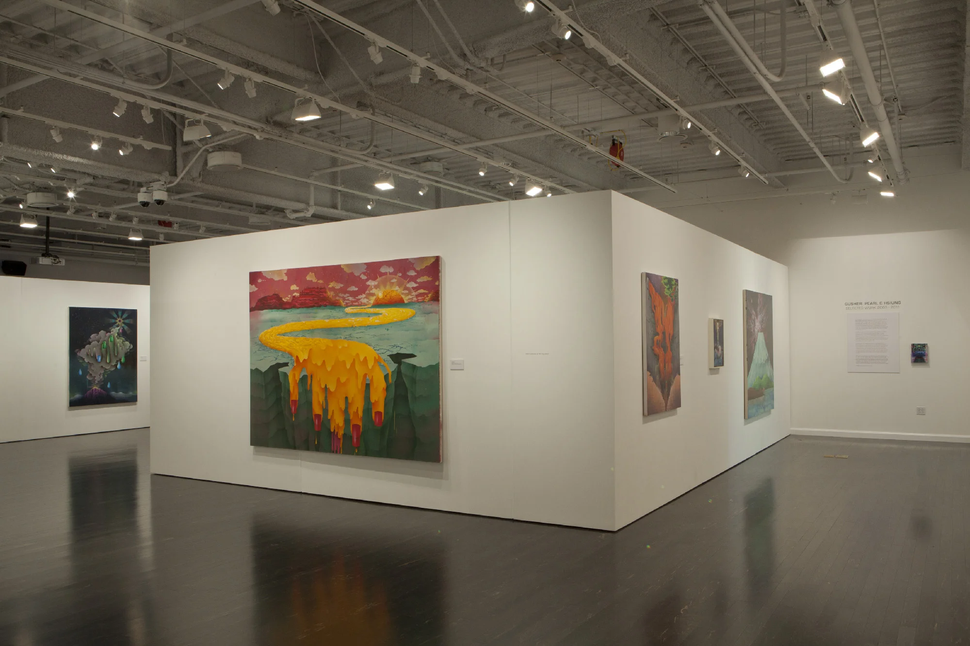 Installation images from Gusher; Pearl C. Hsiung Selected Works 2003 - 2011