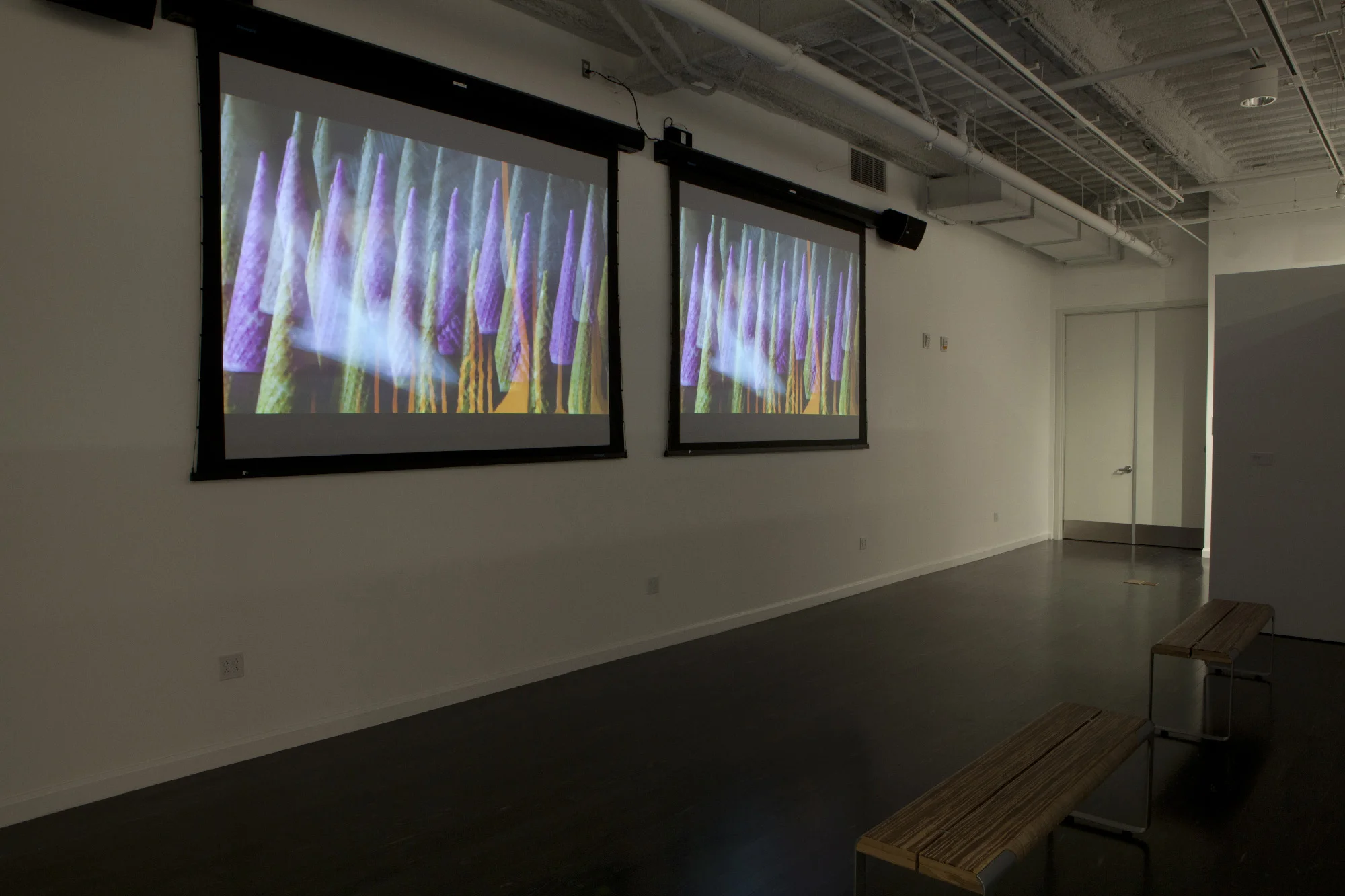 Installation images from Gusher; Pearl C. Hsiung Selected Works 2003 - 2011