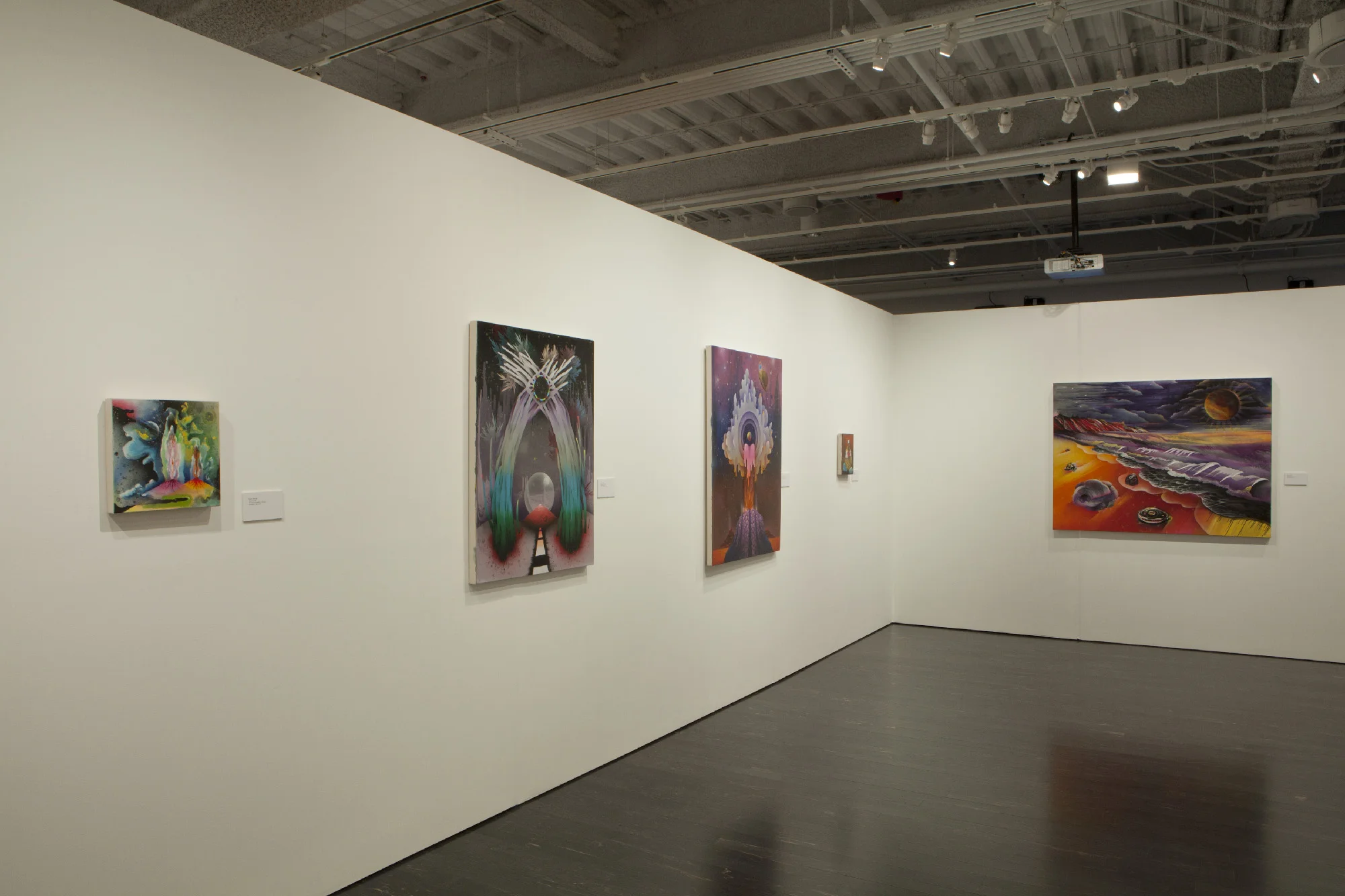 Installation images from Gusher; Pearl C. Hsiung Selected Works 2003 - 2011