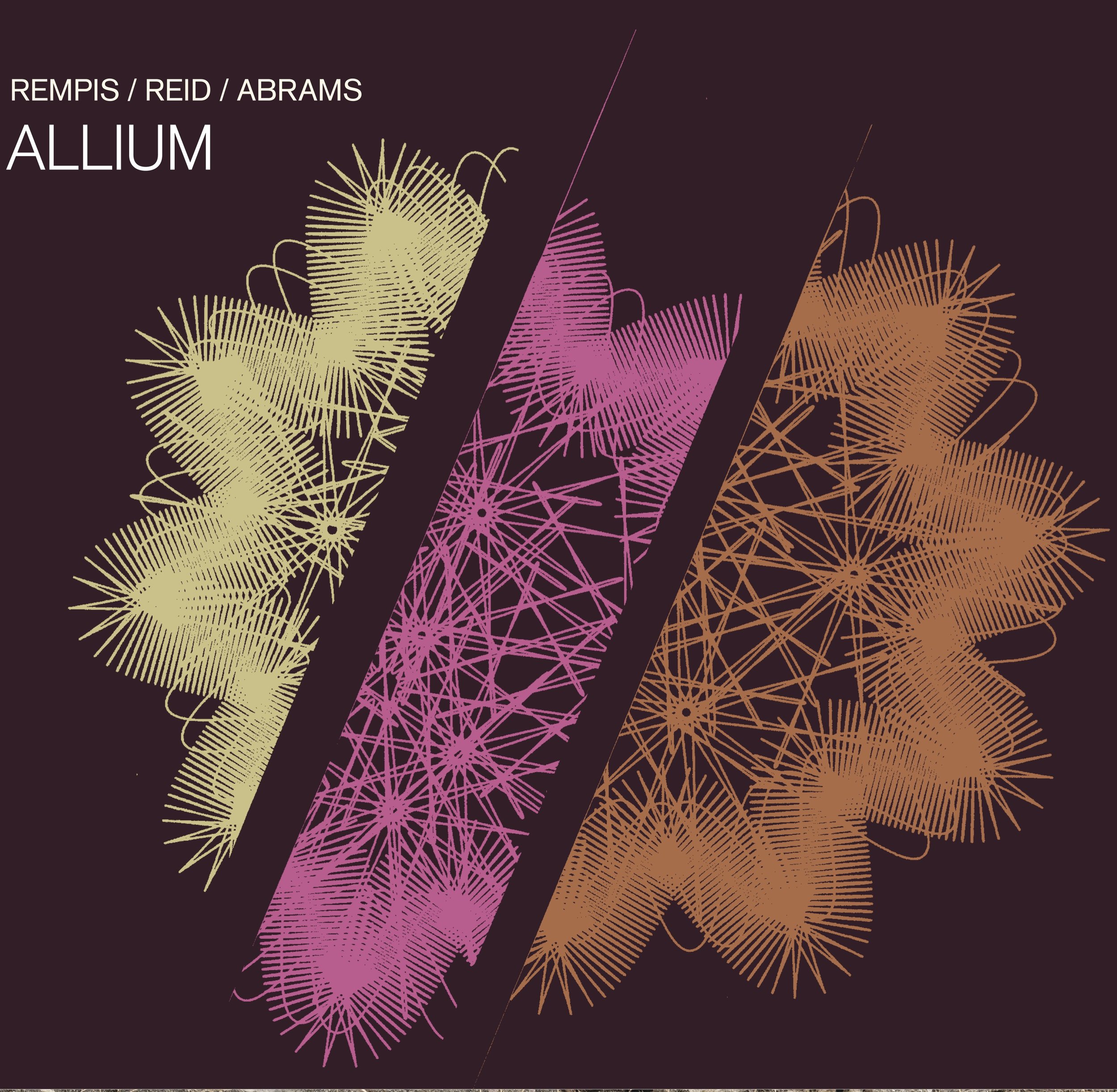 Allium Front Cover.jpg